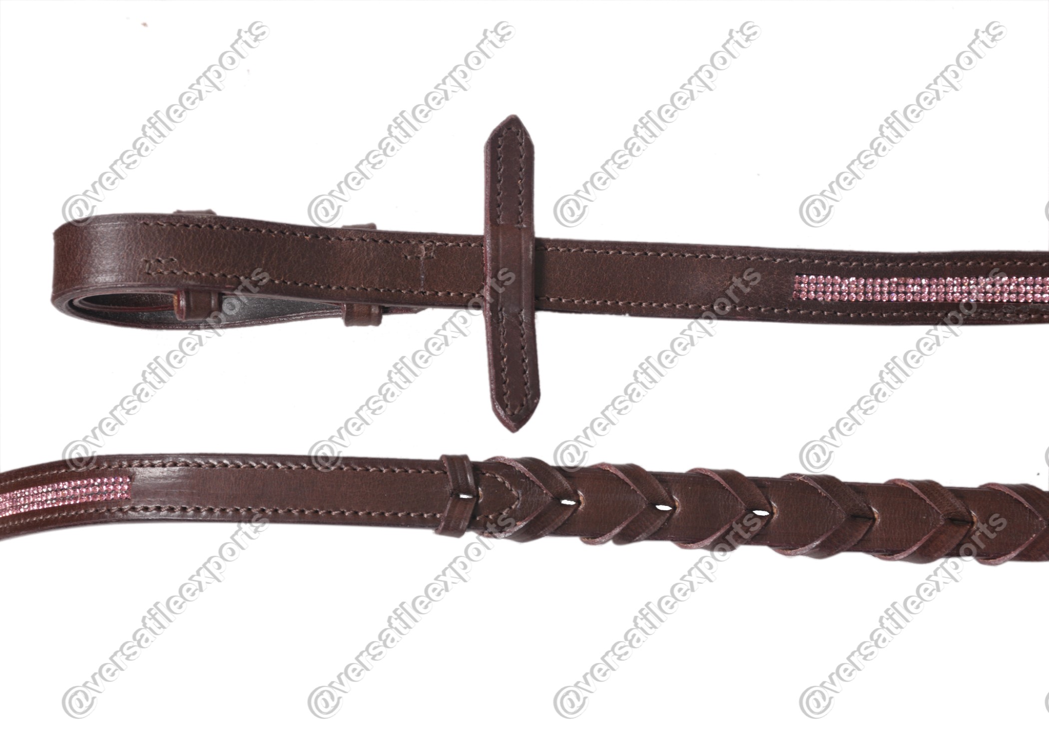 Bridle Shiny